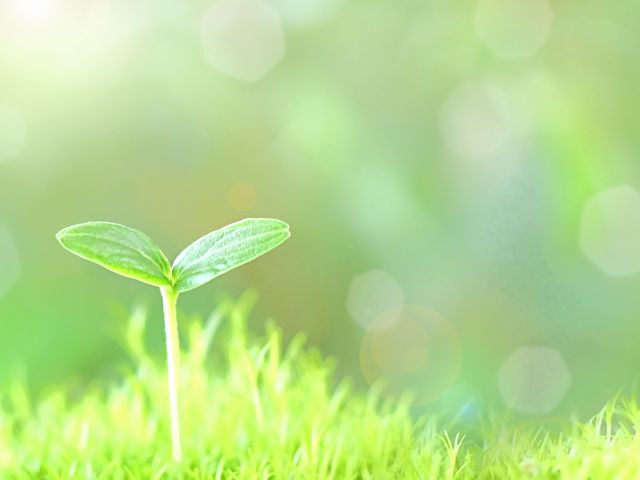 菱江ロジスティクス/工業薬品の製造オペレーター 求人